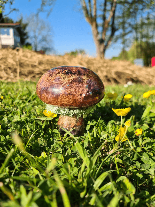 Champignon géant 🍄 Mystère de la forêt 