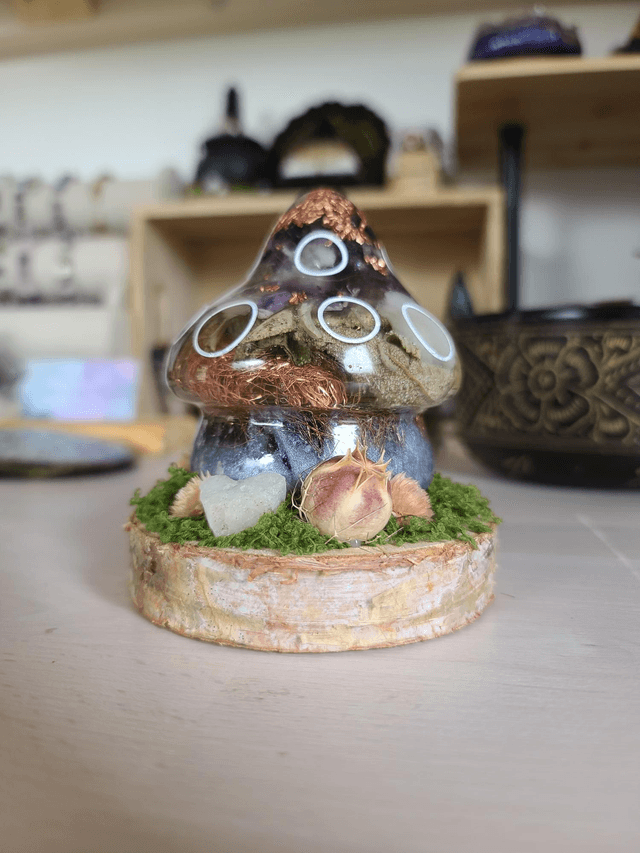 Maison champignon 🍄 "Harmonie violette"