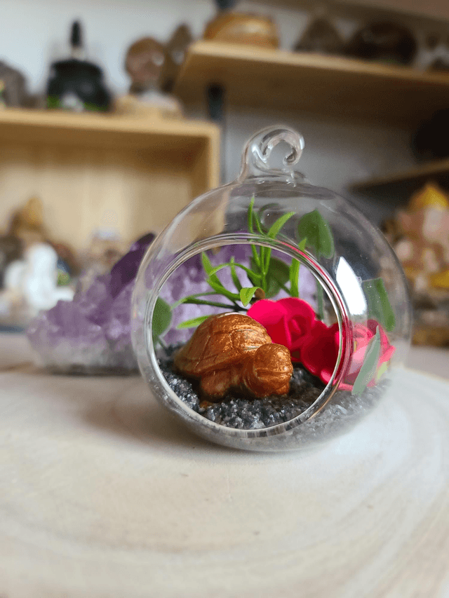Oasis de sagesse 🐢✨️ 