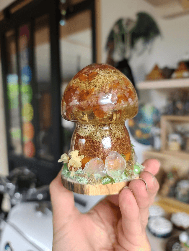 Champignon sacré Cornaline 🧡