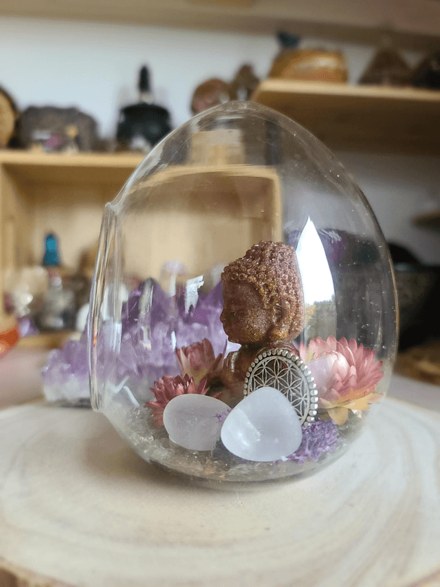 Le dôme de la Sérénité 🌸