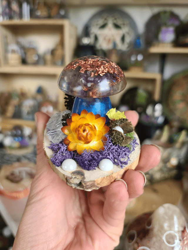 Mini champignon 🍄 N°1