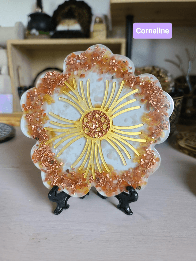 Collection Flora 🌸 Magie de la nature 
