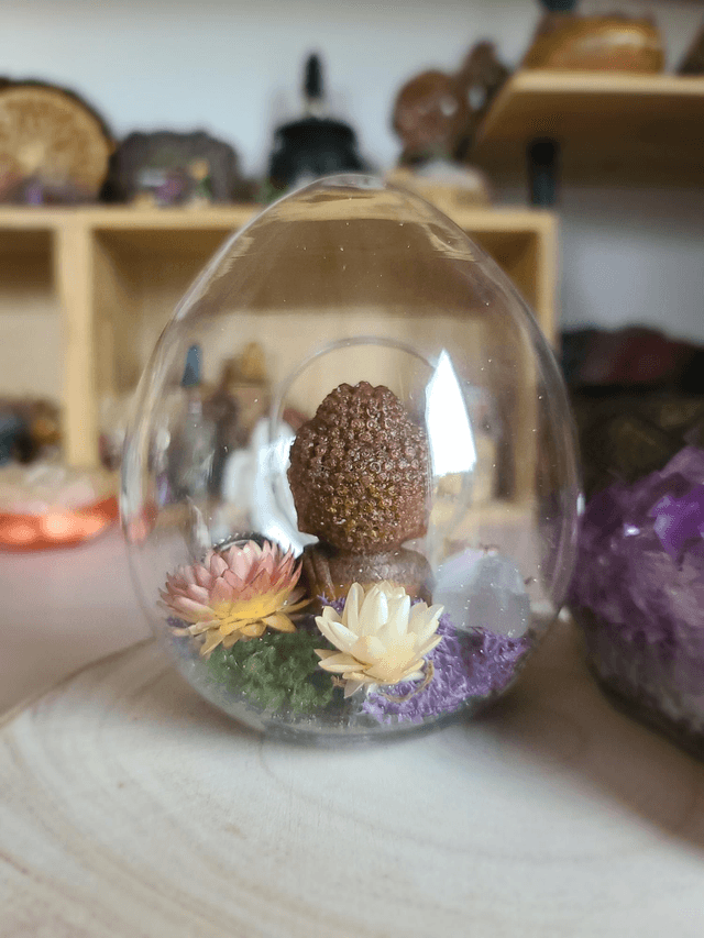 Le dôme de la Sérénité 🌸