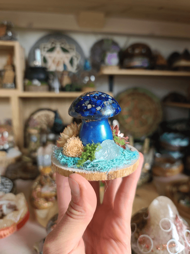 Mini champignon 🍄 N°4