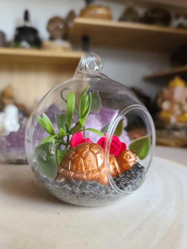 Oasis de sagesse 🐢✨️ 