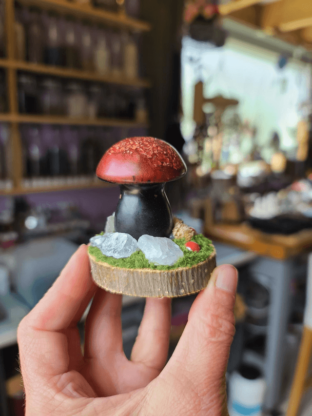 Mini champignon 🍄 N°10