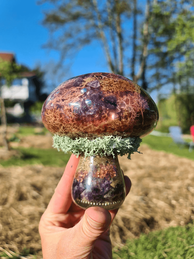 Champignon géant 🍄 Mystère de la forêt 