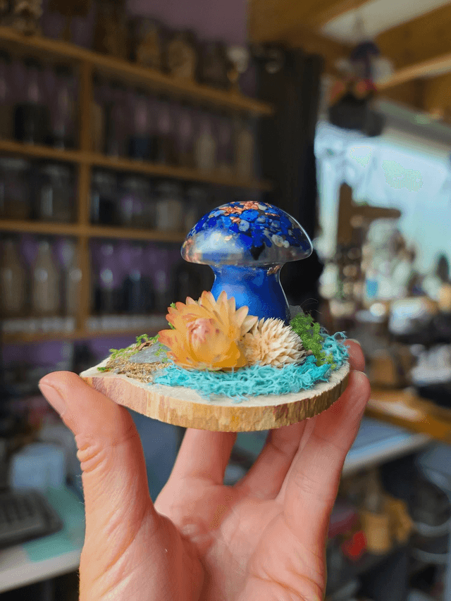 Mini champignon 🍄 N°4