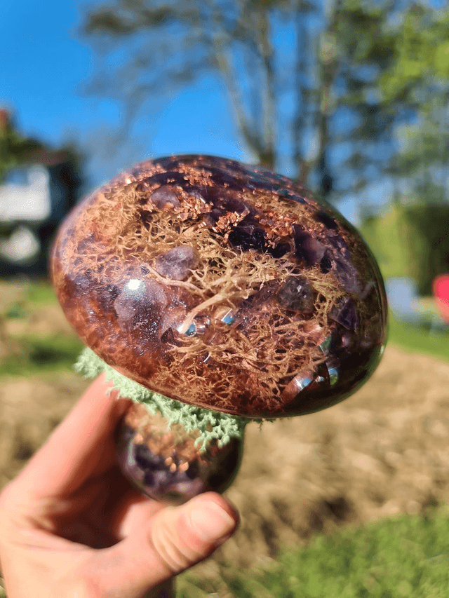 Champignon géant 🍄 Mystère de la forêt 