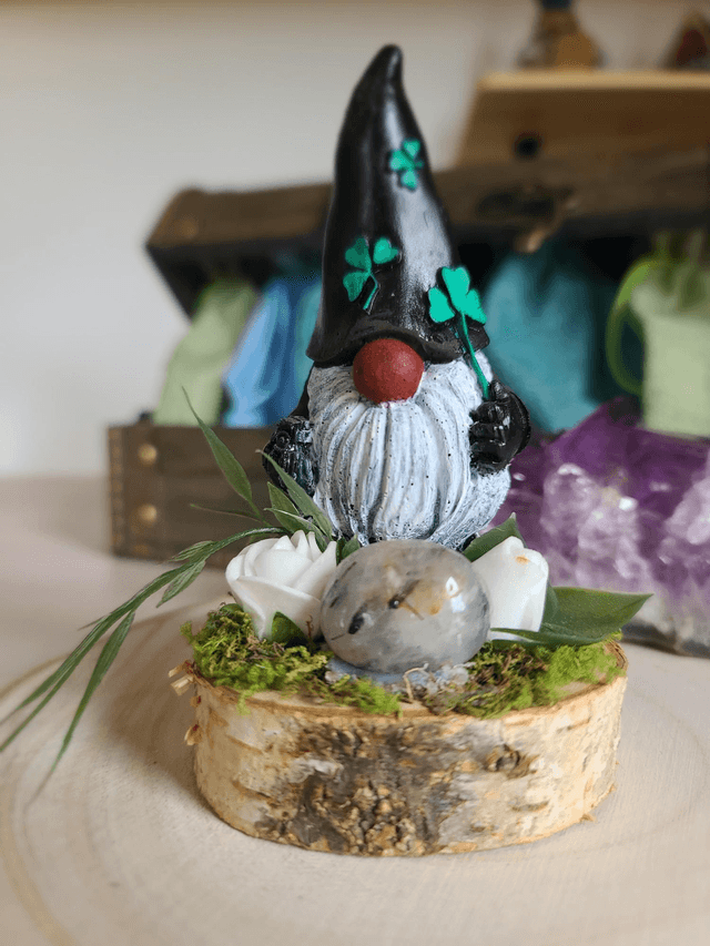 Gédeon 🖤 Gnome gardien du marais 