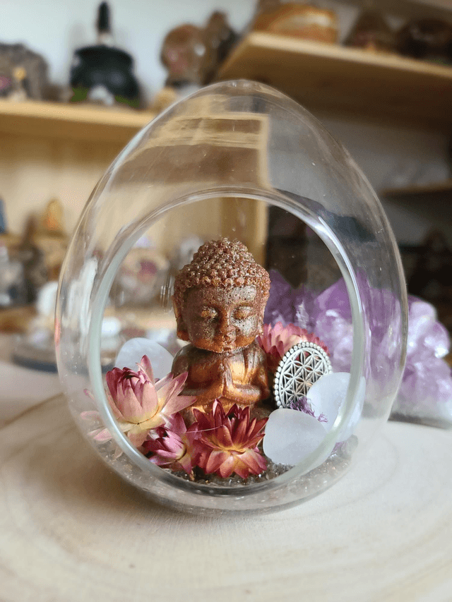 Le dôme de la Sérénité 🌸