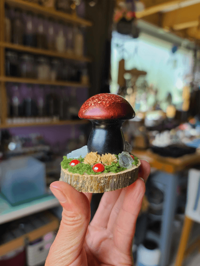 Mini champignon 🍄 N°10
