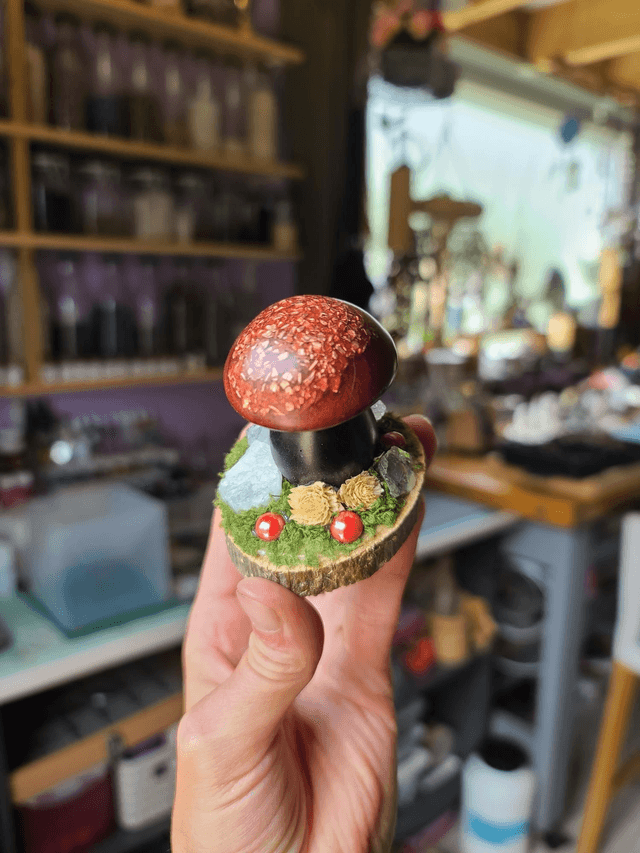 Mini champignon 🍄 N°10