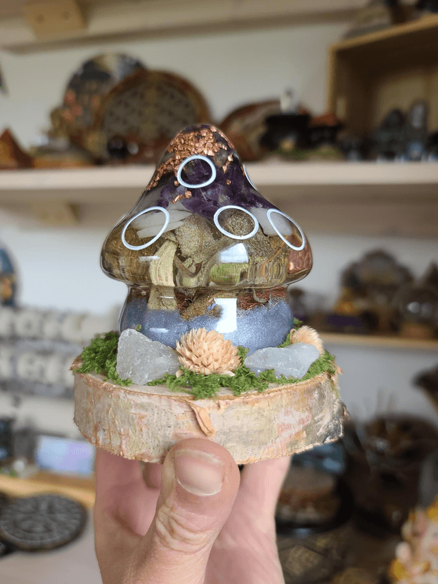 Maison champignon 🍄 "Harmonie violette"