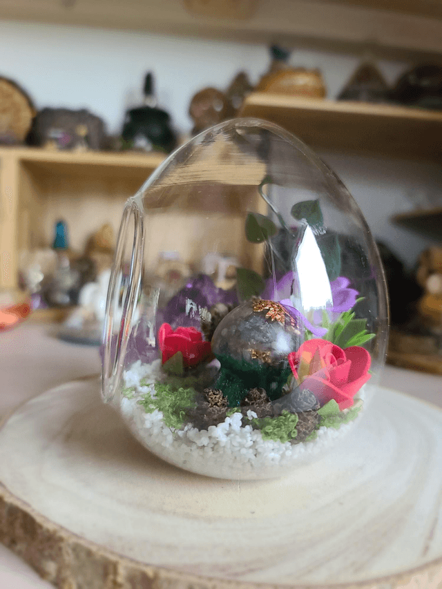 Le dôme des Songes 🍄✨️