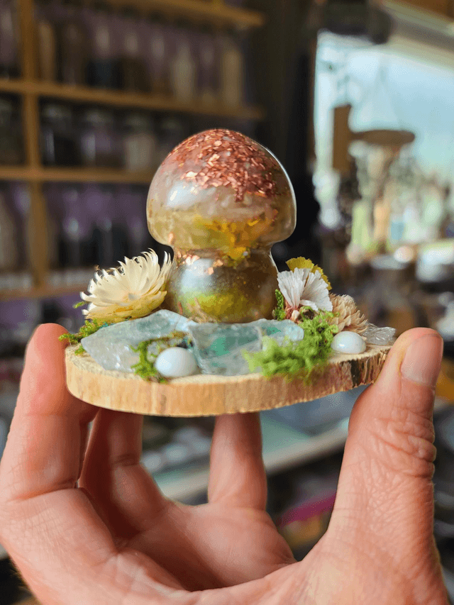 Mini champignon 🍄 N°5