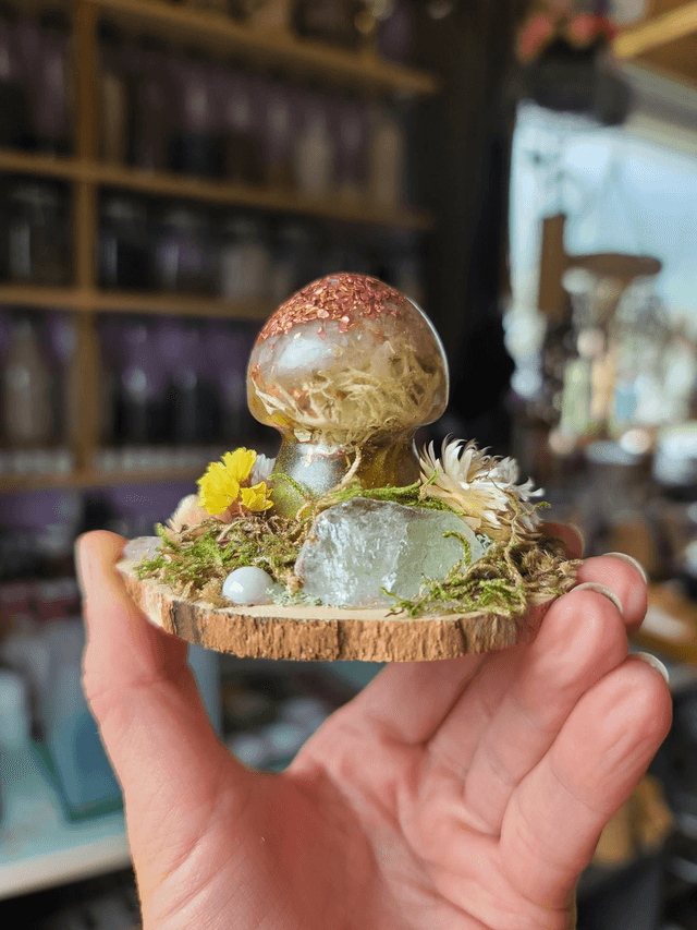 Mini champignon 🍄 N°5