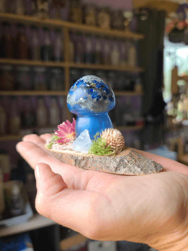 Mini champignon 🍄 N°7