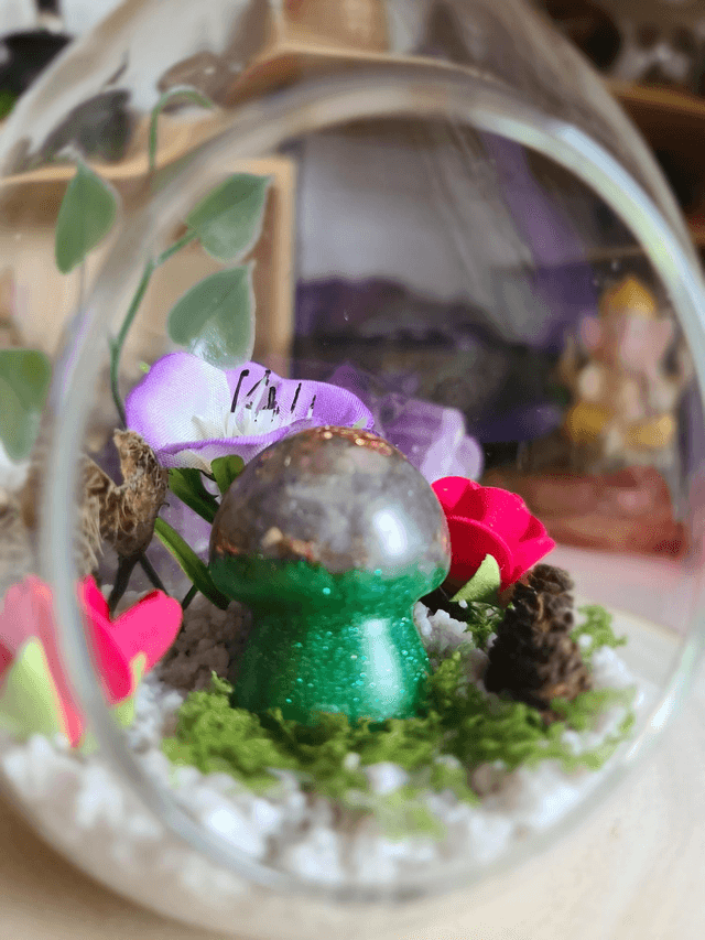 Le dôme des Songes 🍄✨️