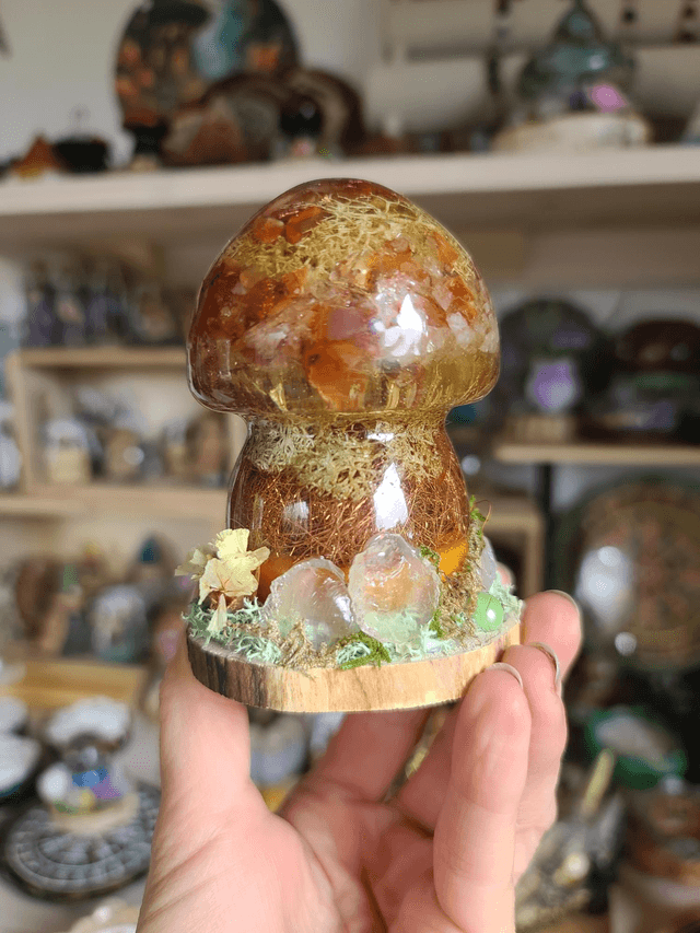 Champignon sacré Cornaline 🧡