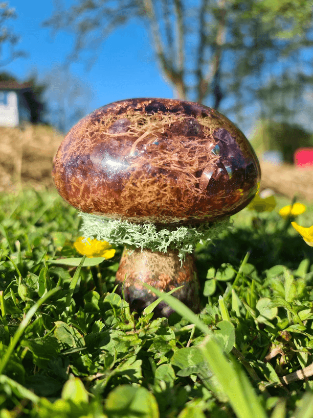 Champignon géant 🍄 Mystère de la forêt 