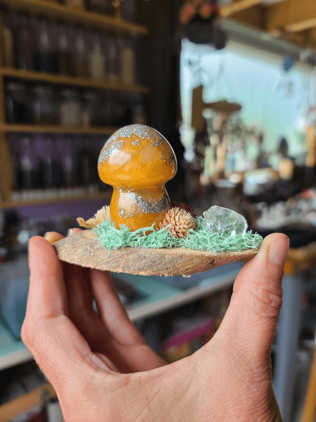 Mini champignon 🍄 N°8
