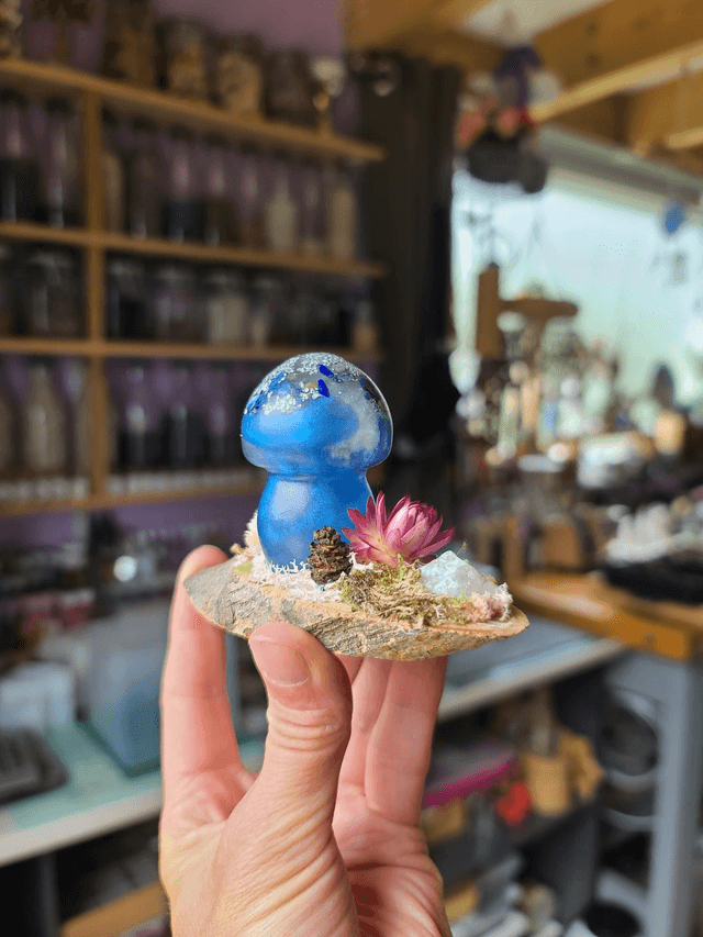 Mini champignon 🍄 N°7
