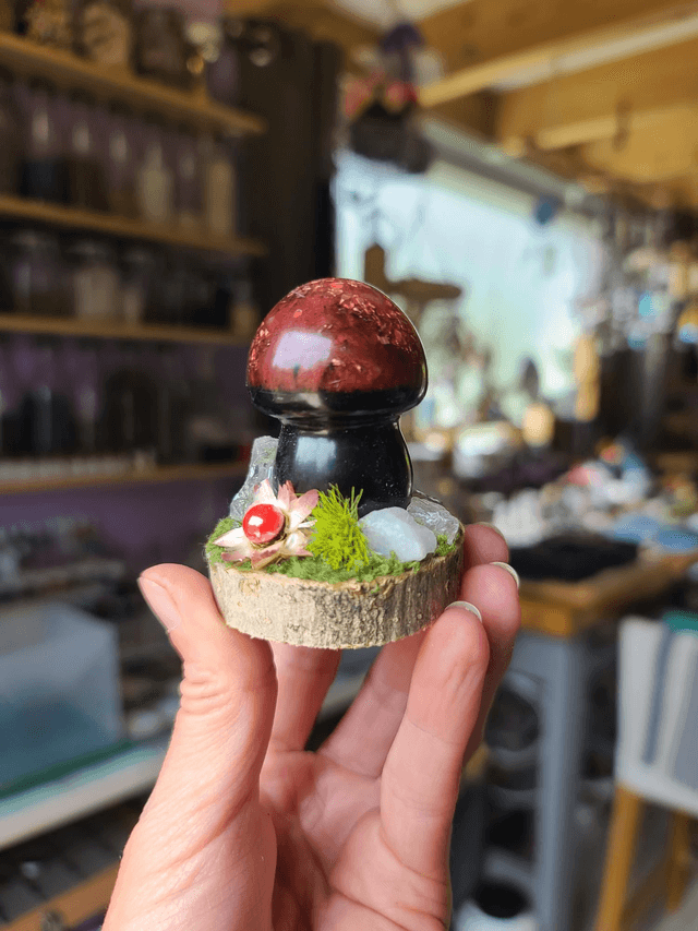 Mini champignon 🍄 N°9