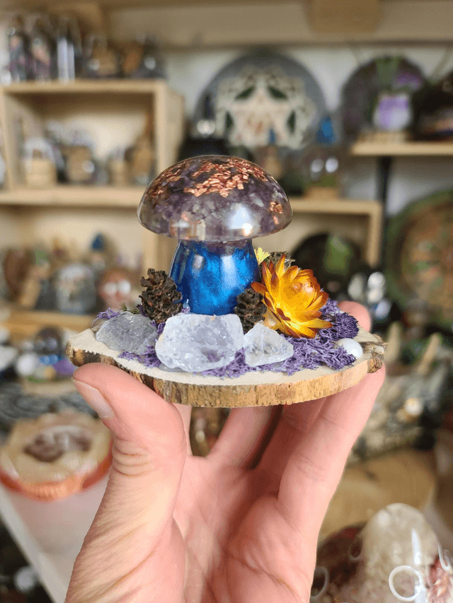 Mini champignon 🍄 N°1