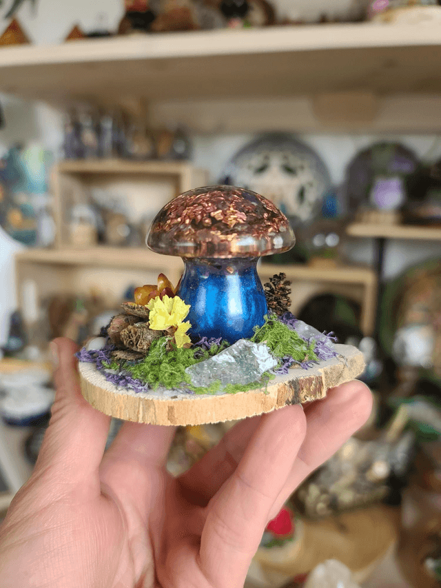 Mini champignon 🍄 N°1