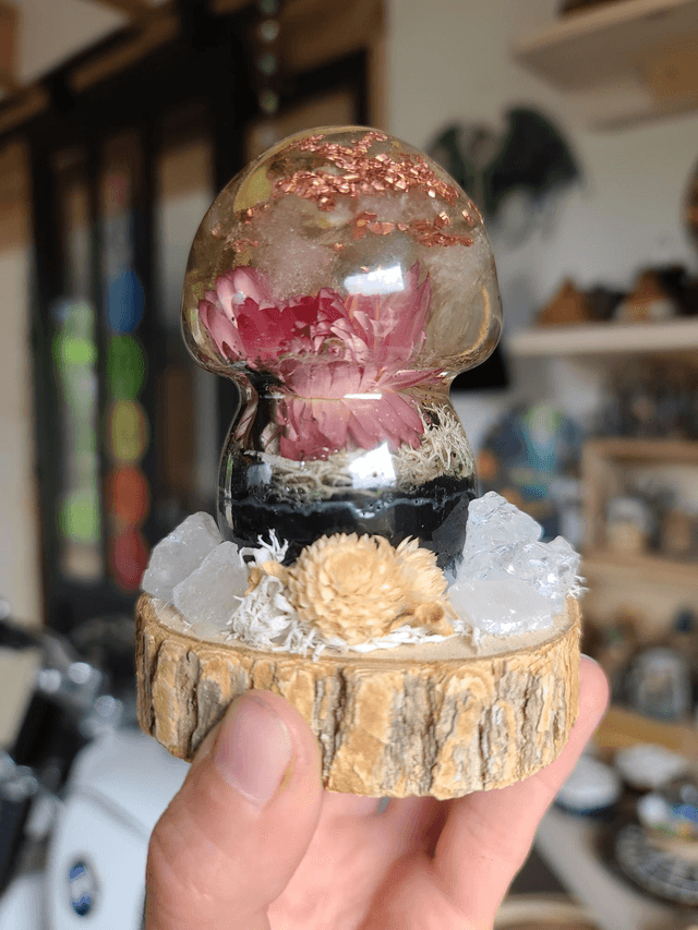 Champignon 🍄 "Harmonie naturelle"