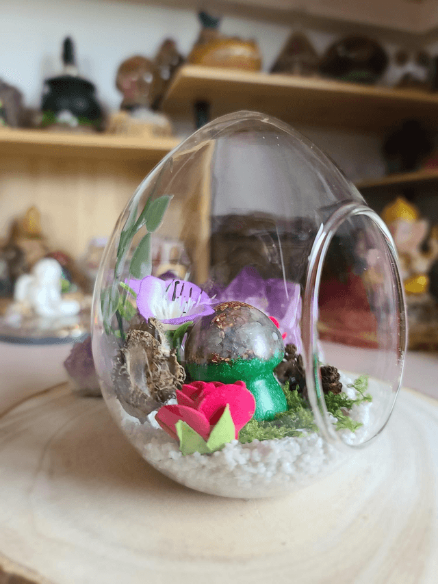 Le dôme des Songes 🍄✨️