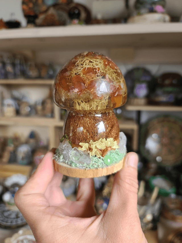 Champignon sacré Cornaline 🧡