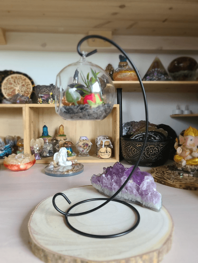 Oasis de sagesse 🐢✨️ 