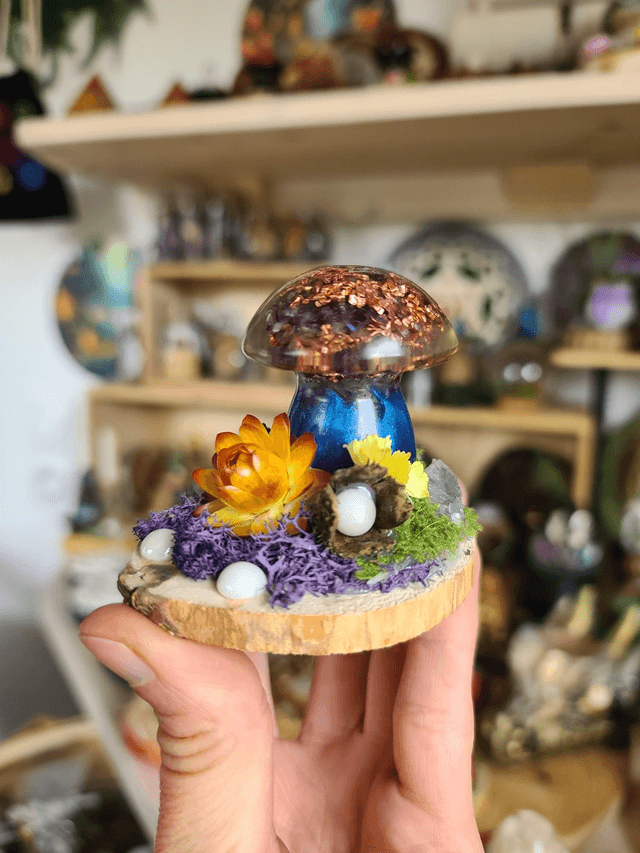 Mini champignon 🍄 N°1