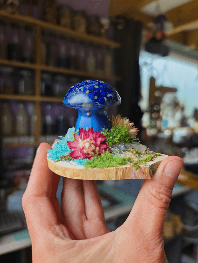 Mini champignon 🍄 N°4