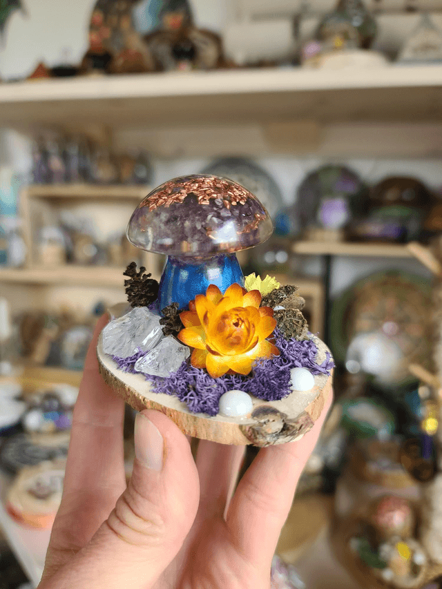 Mini champignon 🍄 N°1